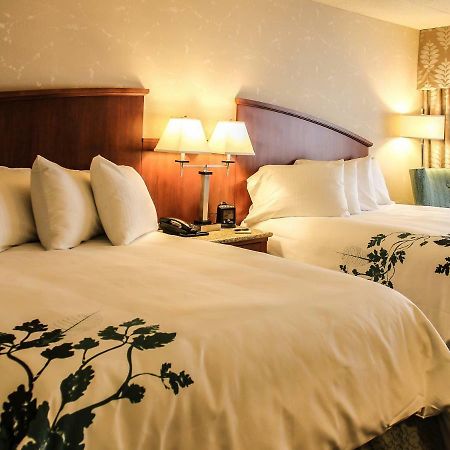 Wingate By Wyndham Elkins Otel Dış mekan fotoğraf